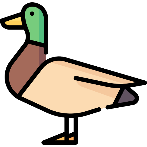 Duck logo